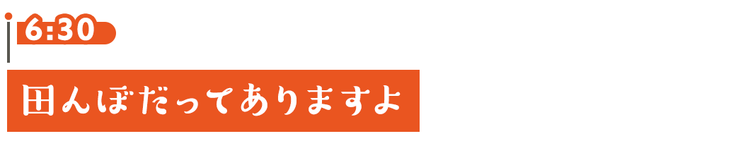 6:30 田んぼだってありますよ